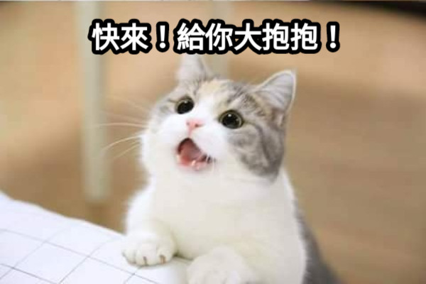 快來！給你大抱抱！
