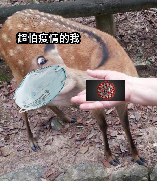 超怕疫情的我