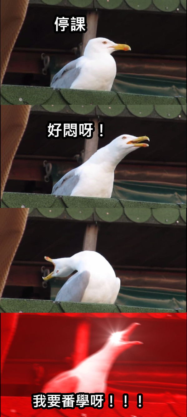 停課 好悶呀！ 我要番學呀！！！