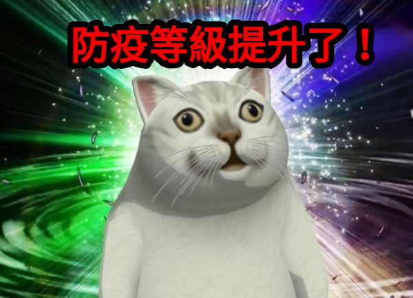 防疫等級提升了！