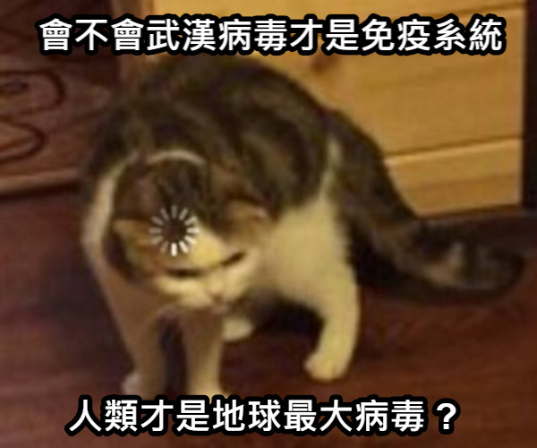 會不會武漢病毒才是免疫系統  人類才是地球最大病毒 ?