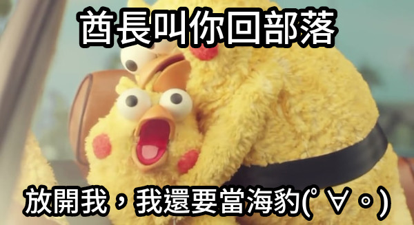 酋長叫你回部落 放開我，我還要當海豹(ﾟ∀。)