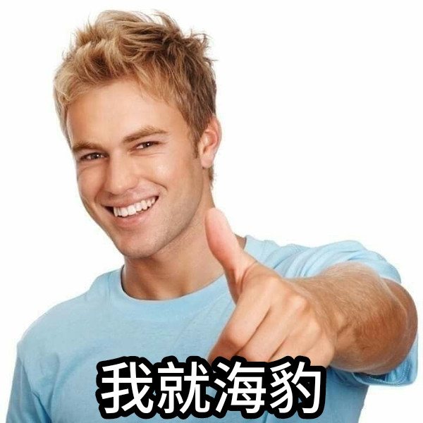 我就海豹