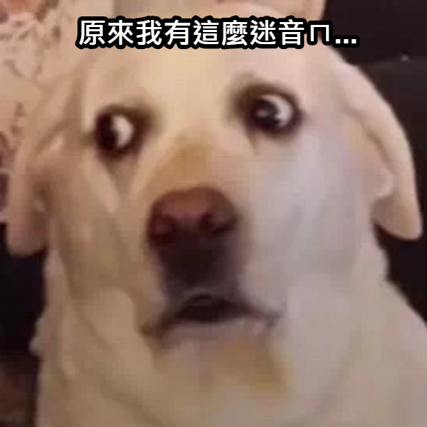 原來我有這麼迷音ㄇ...