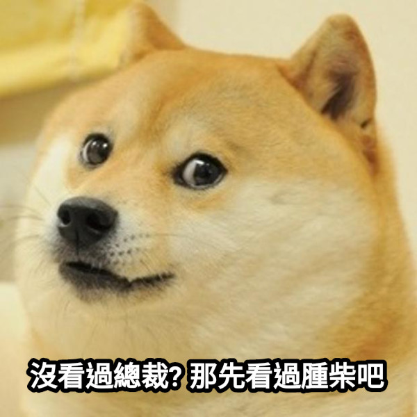 沒看過總裁? 那先看過腫柴吧