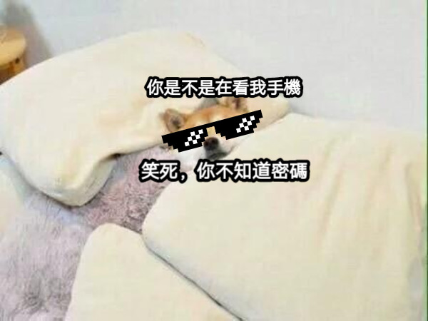 你是不是在看我手機 笑死，你不知道密碼