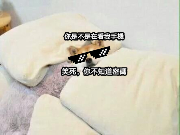 你是不是在看我手機 笑死，你不知道密碼
