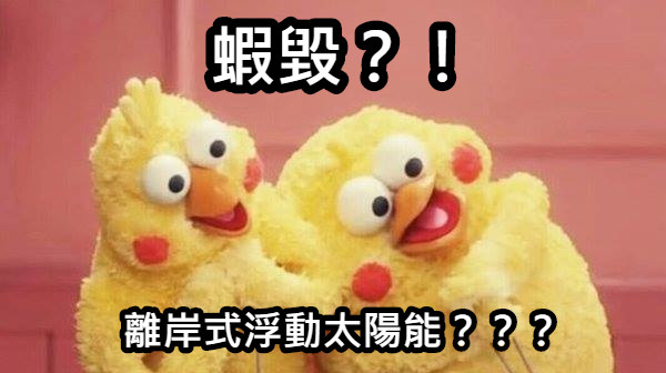 蝦毀？！ 離岸式浮動太陽能？？？