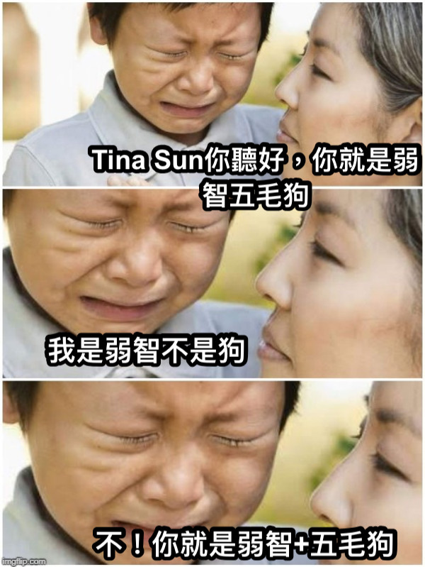 Tina Sun你聽好，你就是弱智五毛狗 我是弱智不是狗 不！你就是弱智+五毛狗