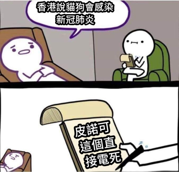 香港說貓狗會感染新冠肺炎 皮諾可    這個直   接電死
