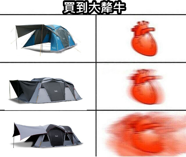 買到大犛牛