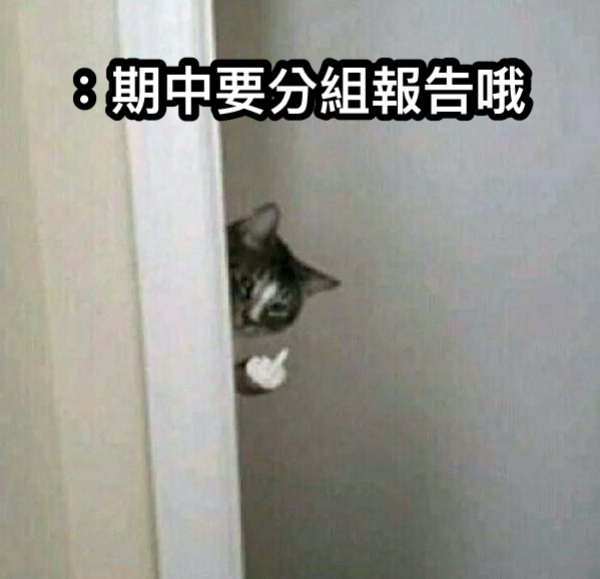 ：期中要分組報告哦