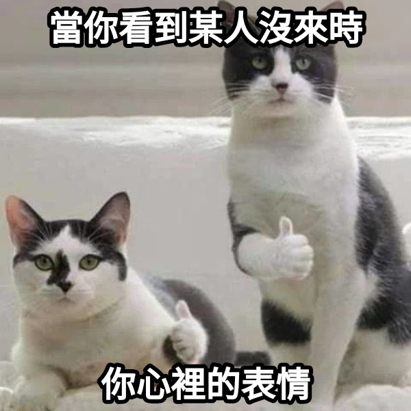 當你看到某人沒來時 你心裡的表情