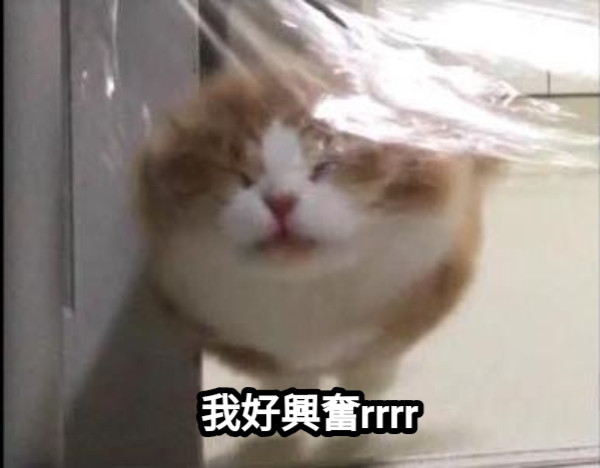 我好興奮rrrr
