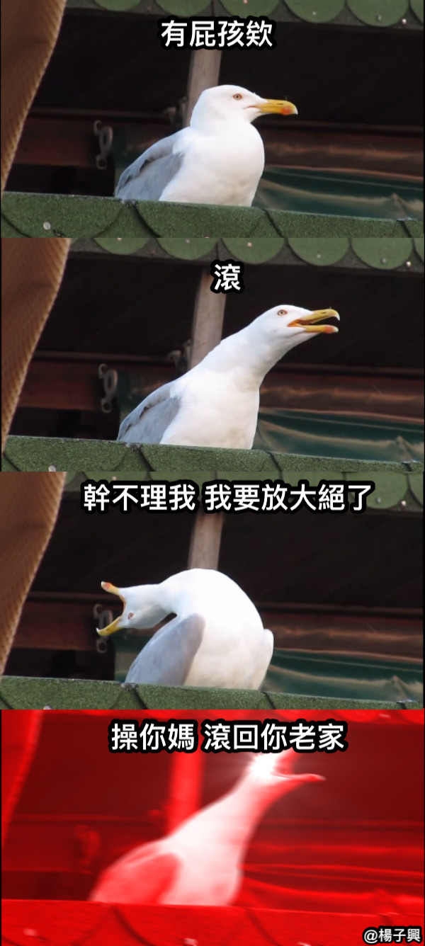 有屁孩欸 滾 幹不理我 我要放大絕了 操你媽 滾回你老家