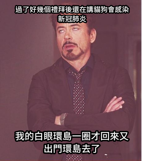 過了好幾個禮拜後還在講貓狗會感染新冠肺炎 我的白眼環島一圈才回來又出門環島去了