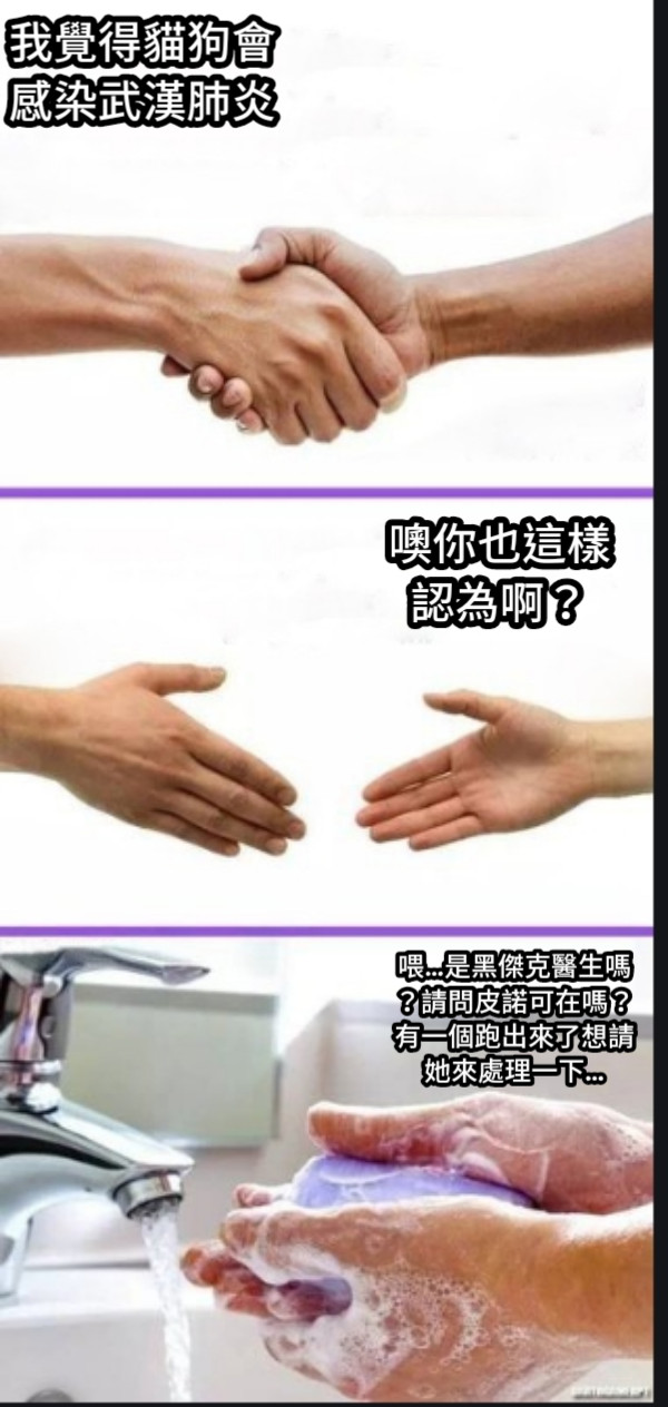 我覺得貓狗會感染武漢肺炎 噢你也這樣認為啊？ 喂…是黑傑克醫生嗎？請問皮諾可在嗎？有一個跑出來了想請她來處理一下…