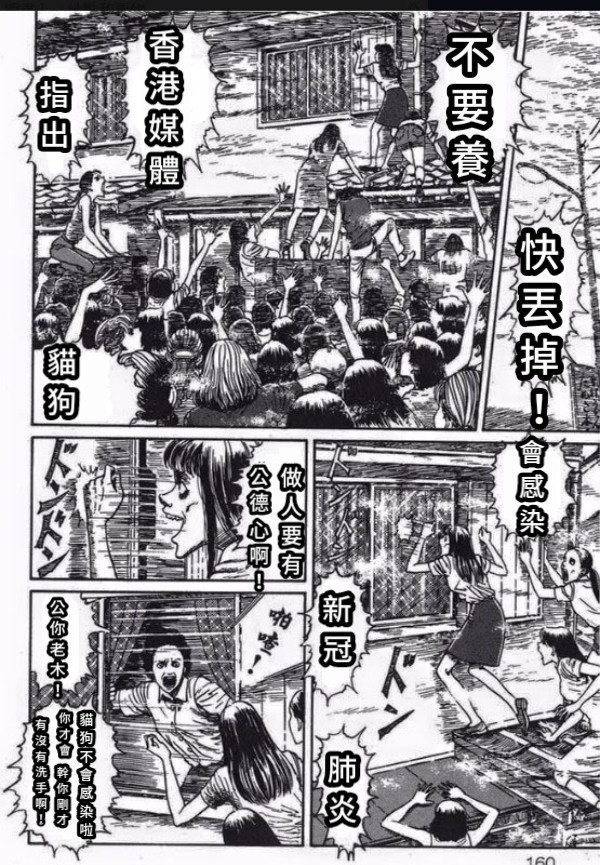 快丟掉！ 不要養 香港媒體 指出 貓狗 會感染 新冠 肺炎 做人要有 公你老木！ 貓狗不會感染啦 你才會 幹你剛才 公德心啊！ 有沒有洗手啊！