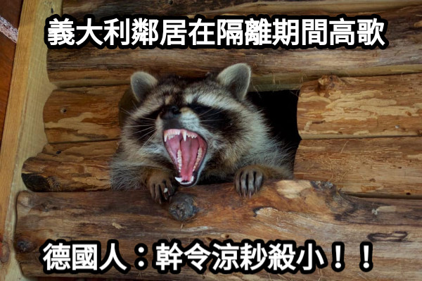 義大利鄰居在隔離期間高歌 德國人：幹令涼耖殺小！！