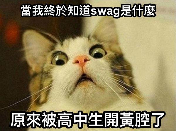 當我終於知道swag是什麼 原來被高中生開黃腔了