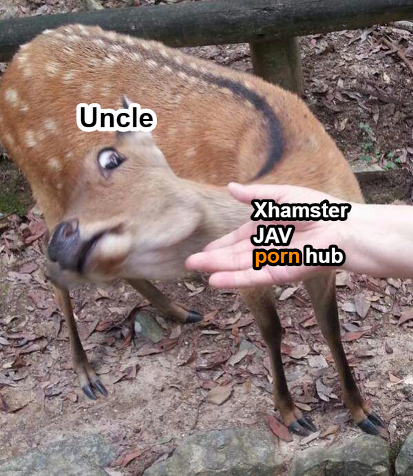 porn hub JAV Xhamster Uncle