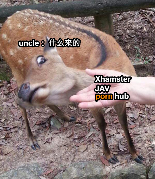 porn hub JAV Xhamster uncle： 什么来的