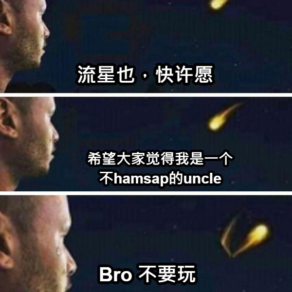 流星也，快许愿 希望大家觉得我是一个 不hamsap的uncle Bro 不要玩