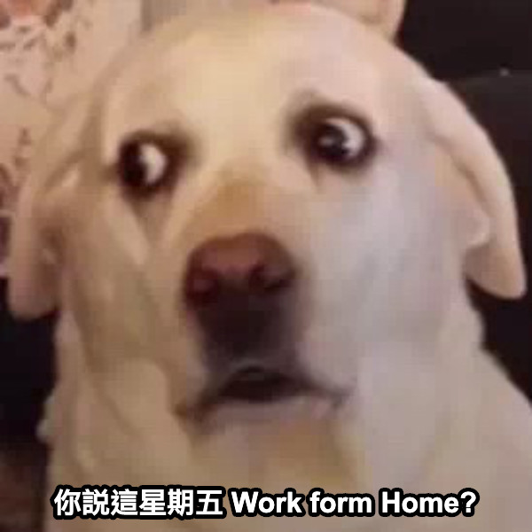 你說這星期五 Work form Home?