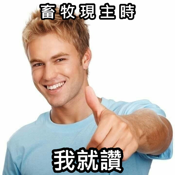 畜 牧 現 主 時 我就讚