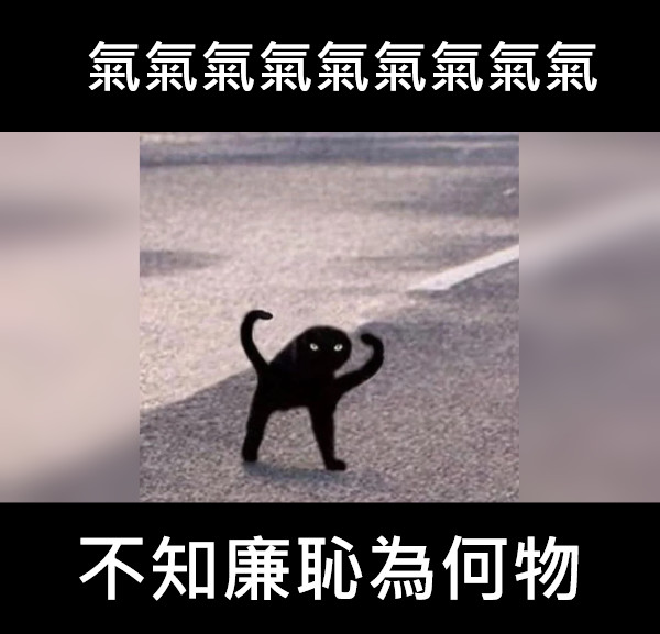 不知廉恥為何物 氣氣氣氣氣氣氣氣氣