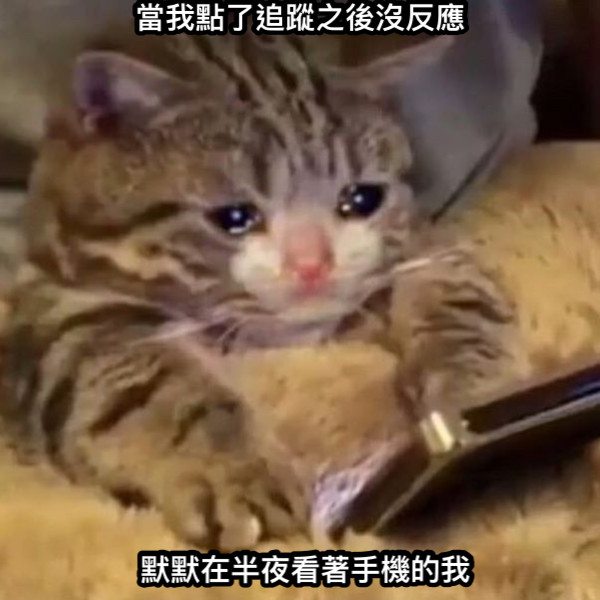 當我點了追蹤之後沒反應 默默在半夜看著手機的我