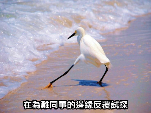 在為難同事的邊緣反覆試探