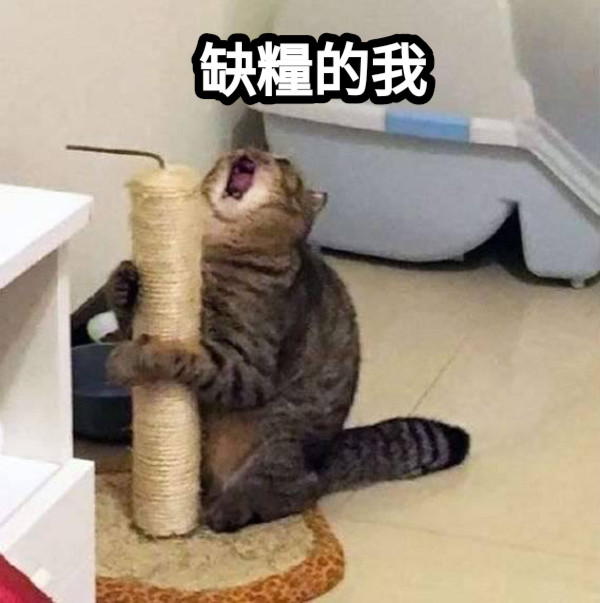 缺糧的我