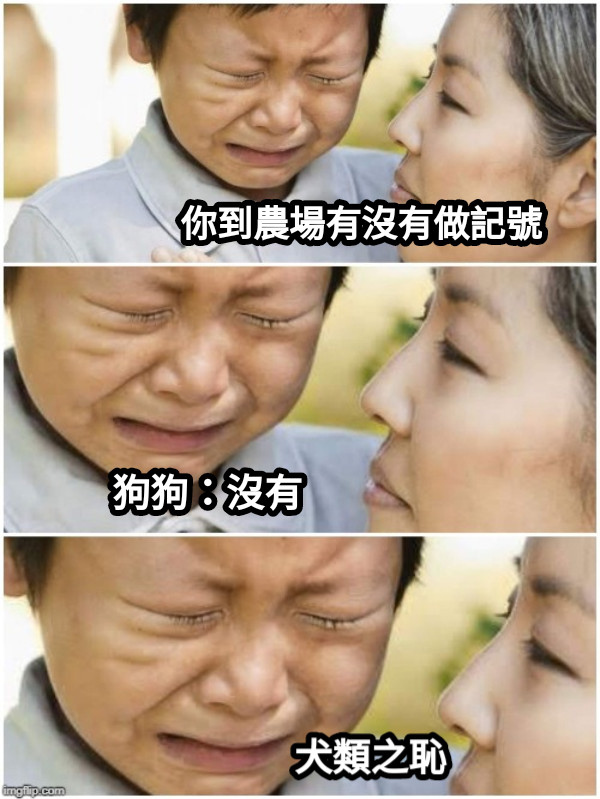 你到農場有沒有做記號 狗狗：沒有 犬類之恥