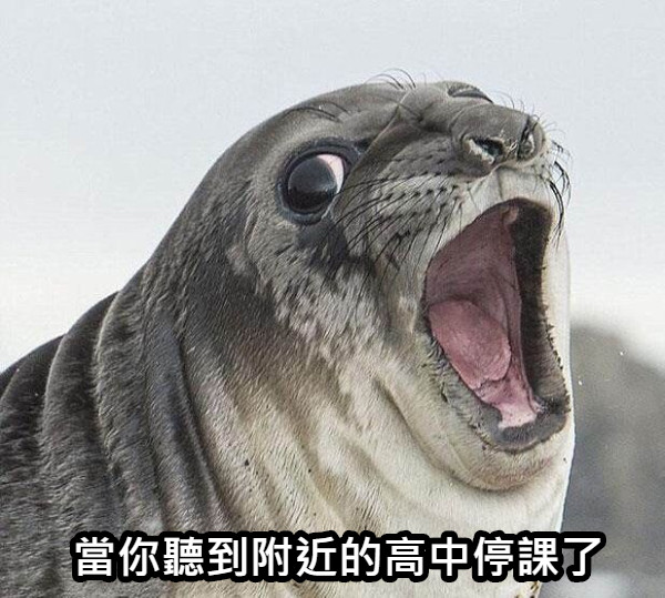 當你聽到附近的高中停課了