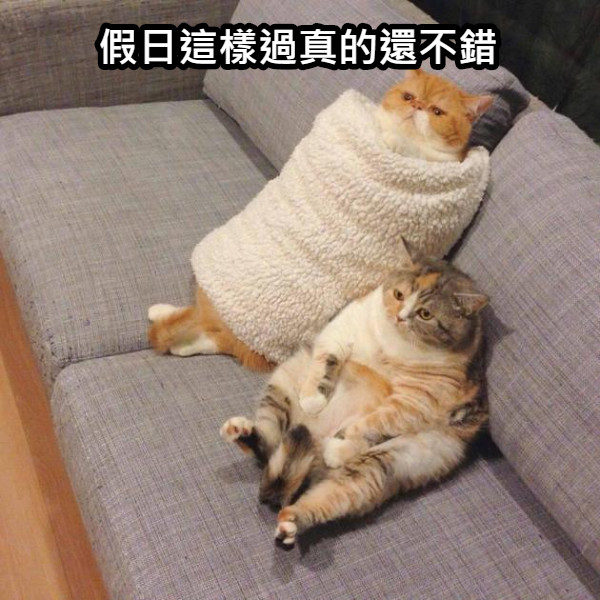 假日這樣過真的還不錯