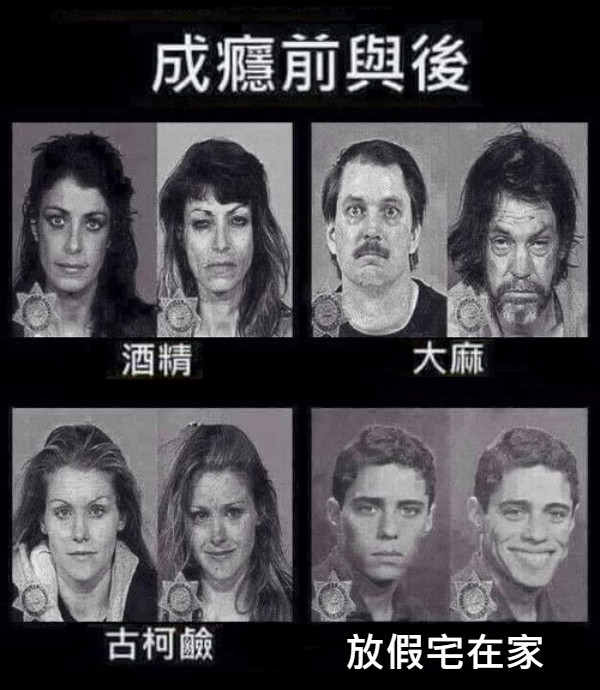 放假宅在家