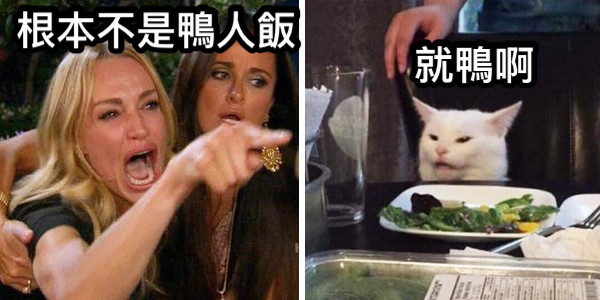 根本不是鴨人飯 根本不是鴨人飯 就鴨啊