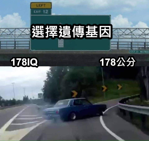 選擇遺傳基因 178公分 178IQ