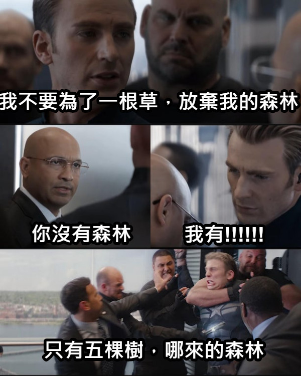 我不要為了一根草，放棄我的森林 你沒有森林 我有!!!!!! 只有五棵樹，哪來的森林