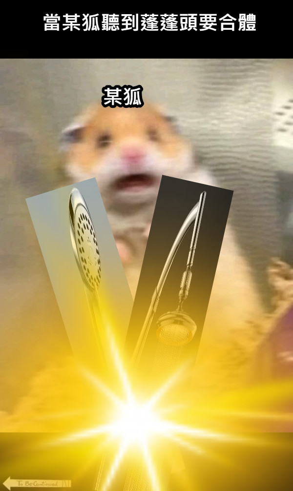 當某狐聽到蓬蓬頭要合體 某狐