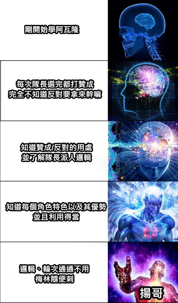 剛開始學阿瓦隆 每次隊長選完都打贊成 完全不知道反對要拿來幹嘛 知道贊成/反對的用處 並了解隊長派人邏輯 知道每個角色特色以及其優勢 並且利用得當 邏輯、輪次通通不用 梅林隨便刺 揚哥