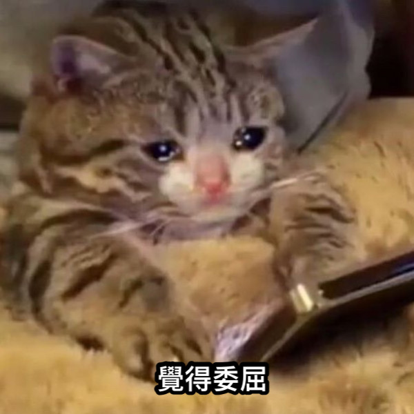 覺得委屈
