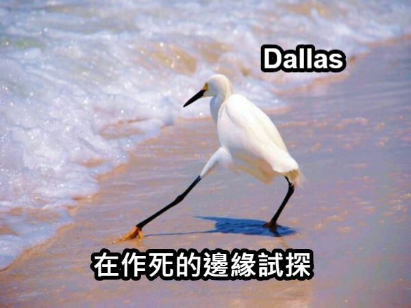 在作死的邊緣試探 Dallas