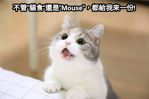 不管&quot;貓食&quot;還是&quot;Mouse&quot;，都給我來一份!