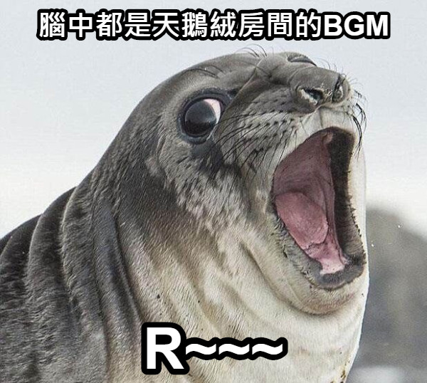 腦中都是天鵝絨房間的BGM R~~~
