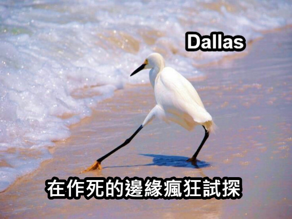 在作死的邊緣瘋狂試探 Dallas