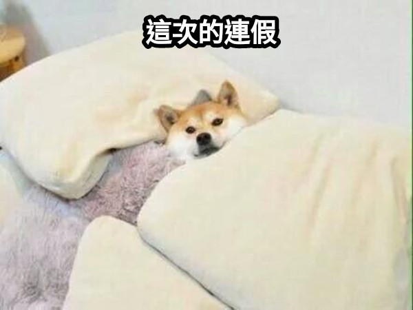 這次的連假