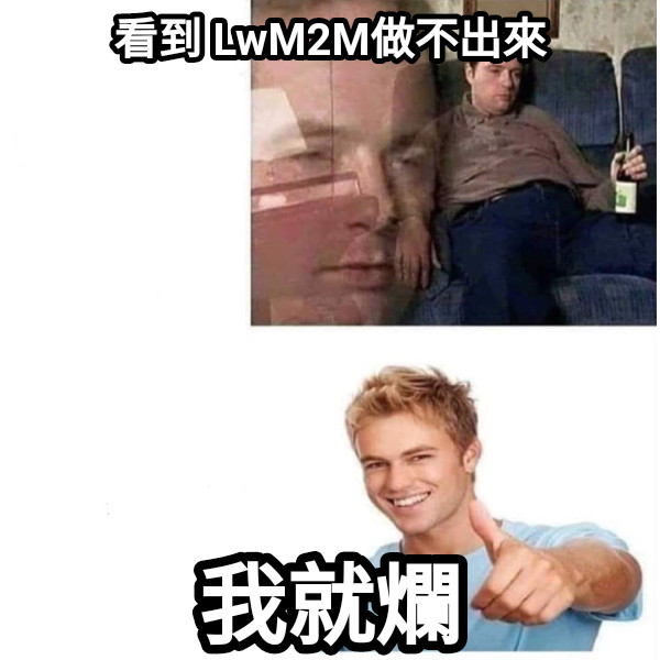 看到 LwM2M做不出來 我就爛