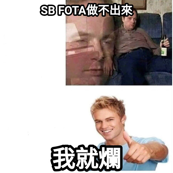 SB FOTA做不出來 我就爛